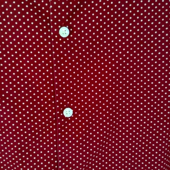 CLEARANCE Cactus Man Ricky Singh Dress Shirt Button Down Long Sleeves - Picture 5 of 16